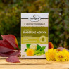 Herbatka Fix Diabetex z morwą 1,5g x 20 saszetek - 3