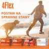 4Flex 30 saszetek - 4