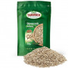 Słonecznik łuskany 500g - 2