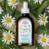 Green Pharmacy Eliksir ziołowy do włosów łamliwych i zniszczonych 250ml - 2