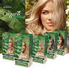 Organic Naturia Vegan Pielęgnująca farba do włosów 314 Popielaty - 5