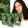 Organic Naturia Vegan Pielęgnująca farba do włosów 350 Hebanowy - 5