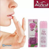 Rose of Bulgaria Pomadka - balsam do ust ochronny Róża Damasceńska 5ml - 2